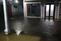 Banjir terjadi di Desa Tasikrejo, Kabupaten Pemalang. /Dok. BNPB