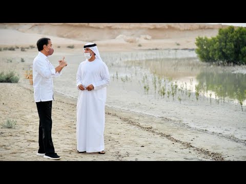 Presiden Jokowi Mengunjungi Al Jubail Mangrove Park, Abu Dhabi, 3 November 2021